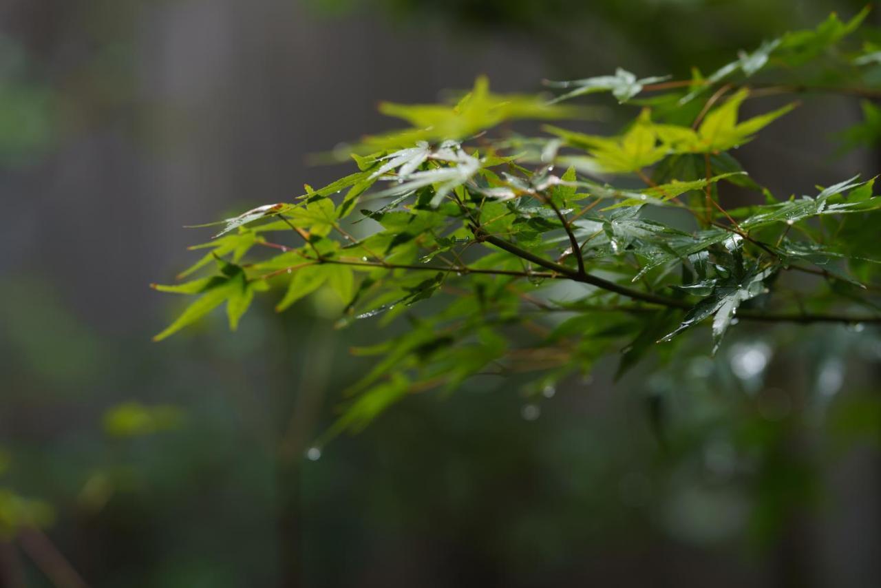 滔々 御崎 町家の宿 Toutou Onzaki Machiya No Yado Kurashiki Luaran gambar